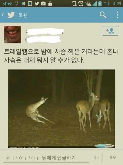 어떻게 이런 사진이 찍혔지.jpg
