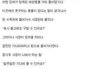 청계천 애완동물거리.jpg