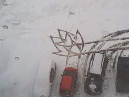 주차의 미학.jpg