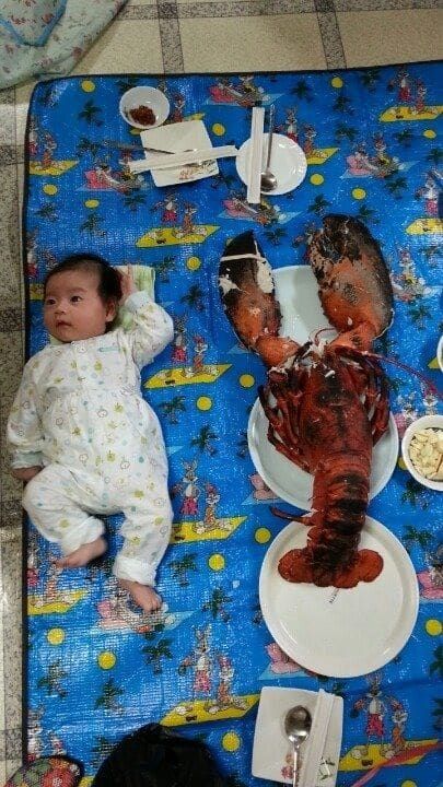 흔한 랍스타 크기.jpg