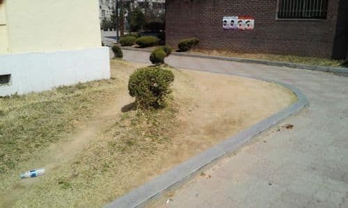 한국인들의 근성.jpg