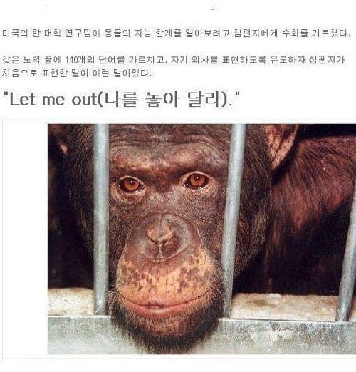 인간이 가장 무서움.jpg