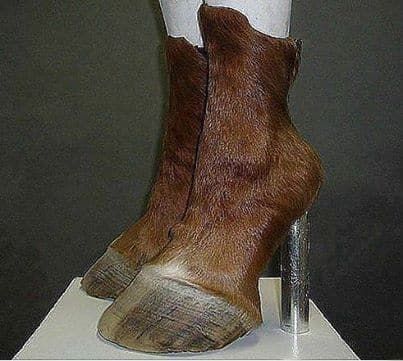 오래 신어도 발이 편안한 하이힐.jpg