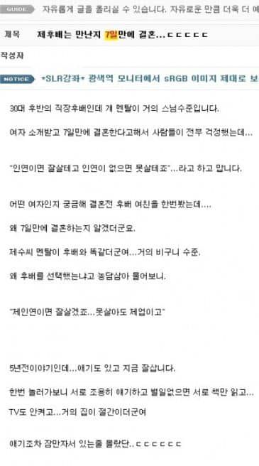 만난지 7일만에 결혼.jpg