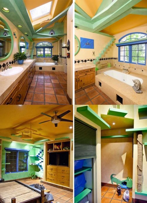 4천만원 들여서 집을 고양이 놀이터로 개조