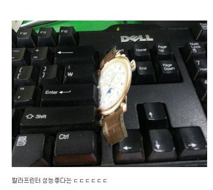 시계 인증류 甲.jpg