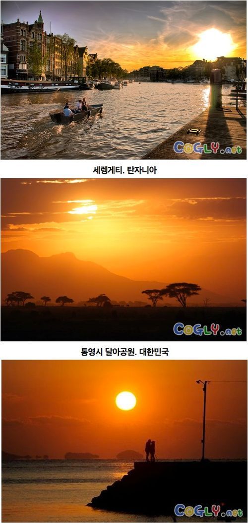 각국의 일몰사진.jpg