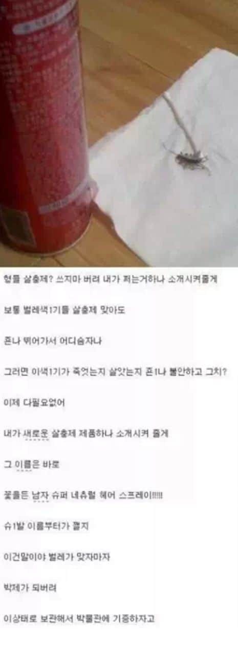 새로운 바퀴벌레약?.jpg