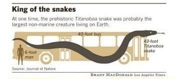 멸종한 타이탄 보아뱀의 실제 모형크기