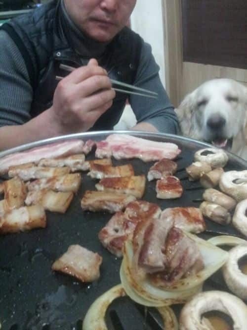 주인아 나도 한입만.jpg