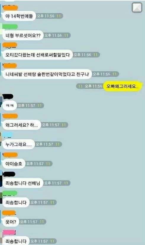 선배 역관광시키는 14학번