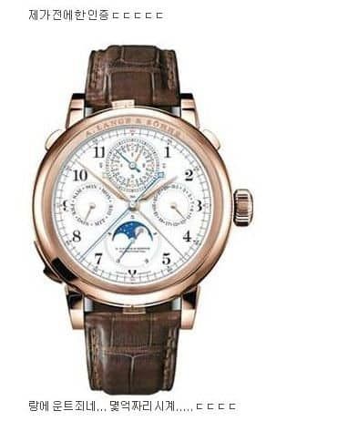 시계 인증류 甲.jpg