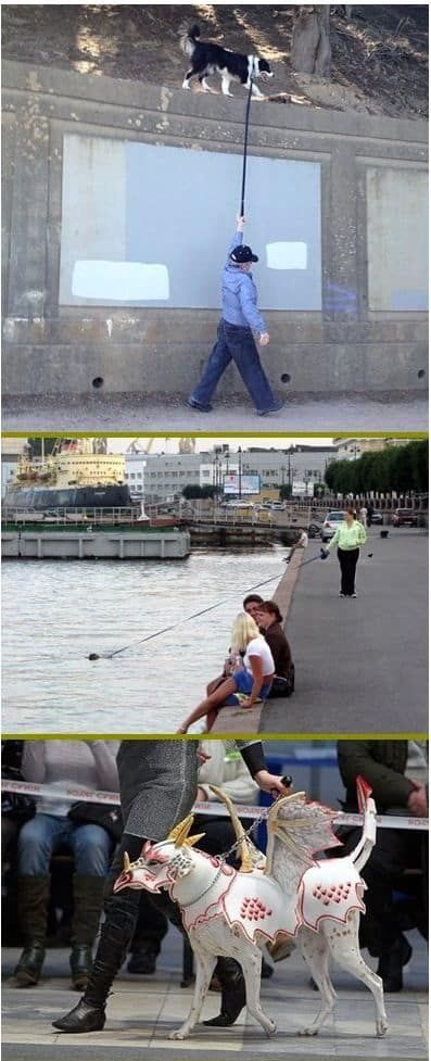 애완동물이랑 산책나왔어요.jpg