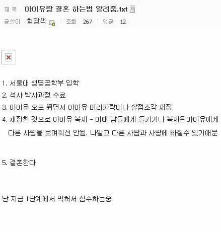 어느 디시인의 아이유와 결혼하는법