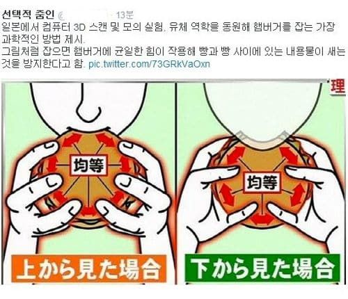 햄버거를 잡는 과학적인 방법