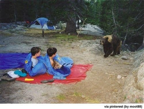 야 니네 혹시 꿀좀있냐?.pg