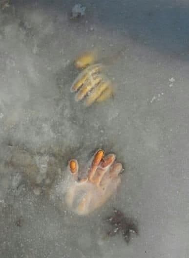 길다가 바닥보고 지릴뻔.jpg