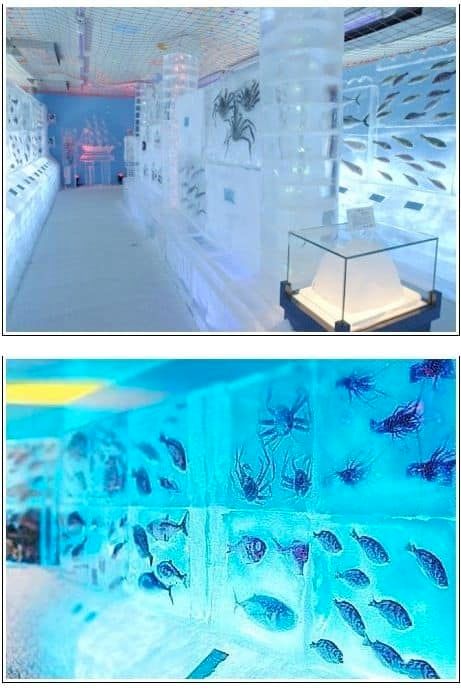 열도의 아쿠아리움.jpg