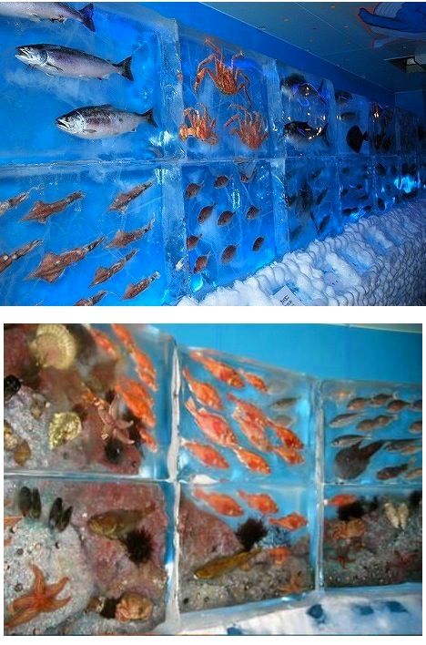 열도의 아쿠아리움.jpg