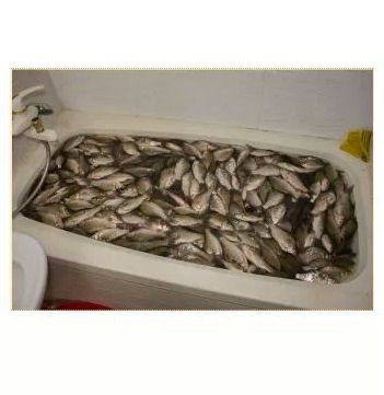 용왕의 아들.jpg