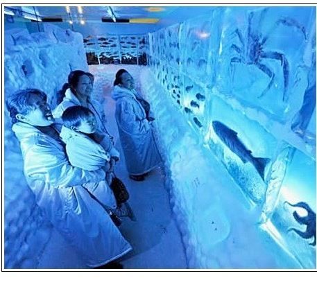 열도의 아쿠아리움.jpg