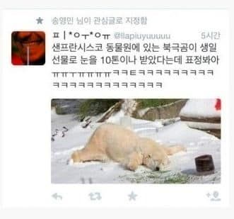 북극곰이 받은 생일선물.jpg