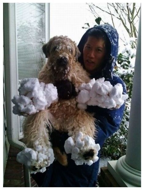 최근 쌀국 풍경.jpg