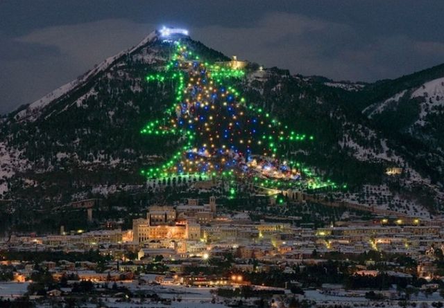 기네스북에 등재 된 세계 최대 크리스마스 트리