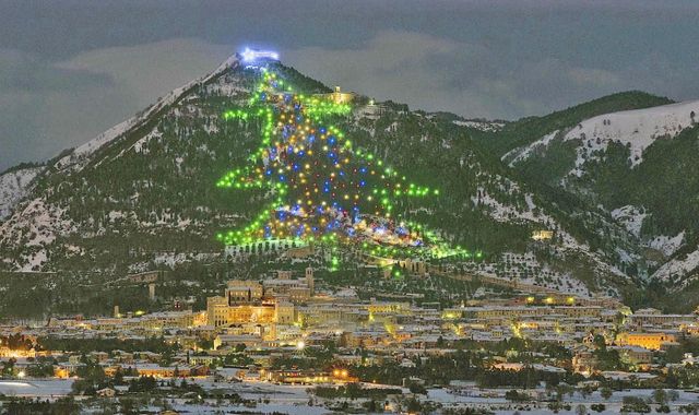 기네스북에 등재 된 세계 최대 크리스마스 트리