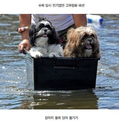 폭우 피해났을 때, 태국 국민들의 대처