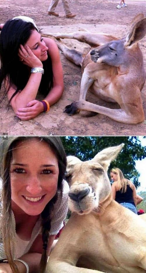 호주에서 흔히 볼수있는 커플.jpg