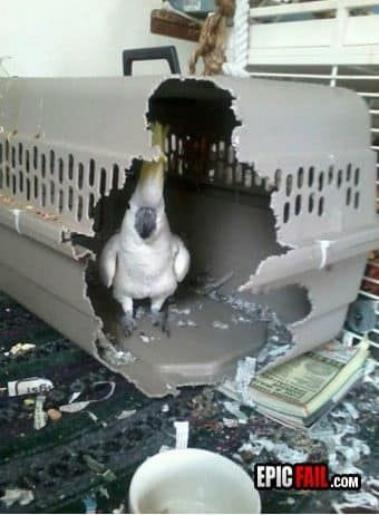 날 구속 하려 하지마