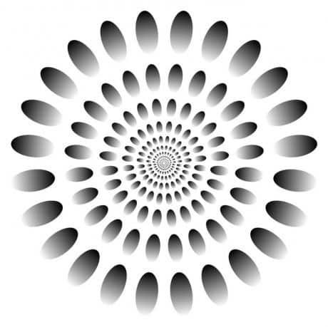 재밌는 착시.jpg