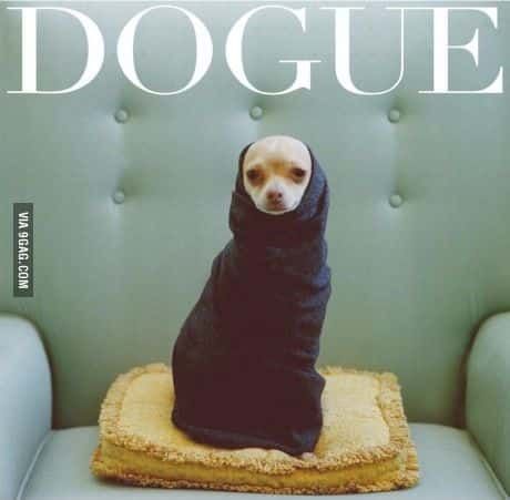 Dogue Magazine