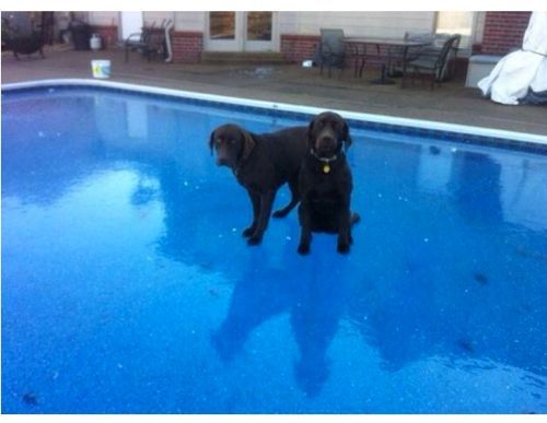 최근 쌀국 풍경.jpg