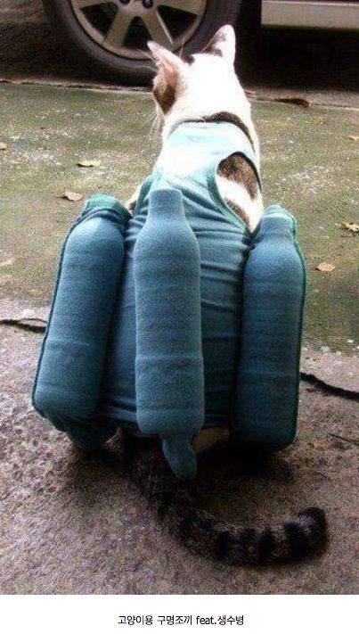 폭우 피해났을 때, 태국 국민들의 대처