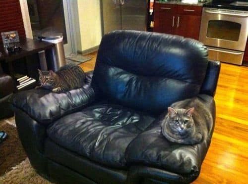 앉으면 악당되는 의자.jpg