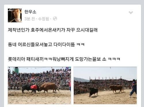 한우의 패기.jpg