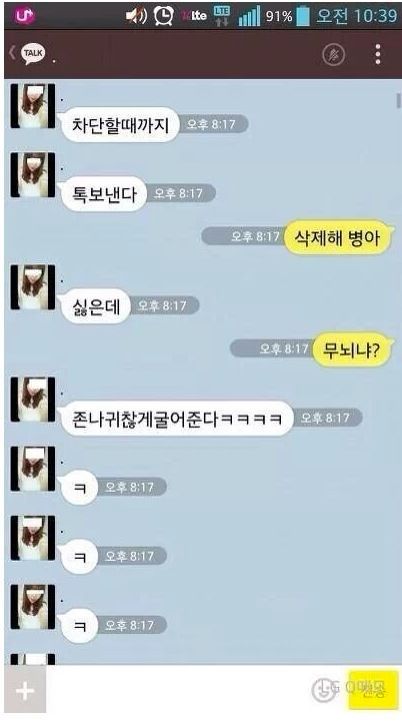 싸우다 정듦.jpg