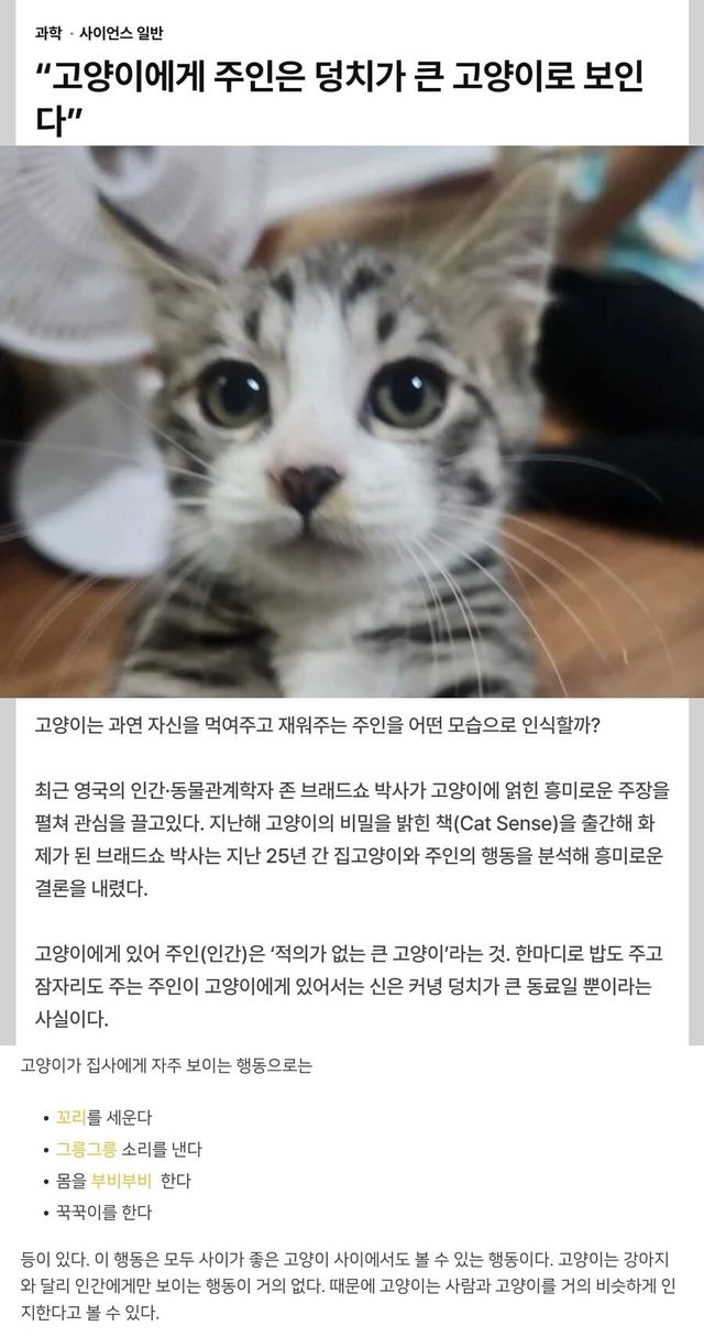 17126031669317.jpg