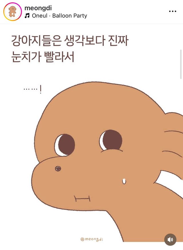 강아지들은 눈치가 빠르다