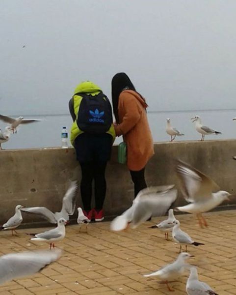 오늘 저녁은 고기반찬