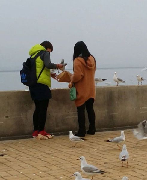 오늘 저녁은 고기반찬