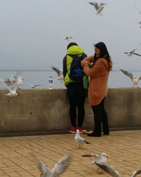 오늘 저녁은 고기반찬