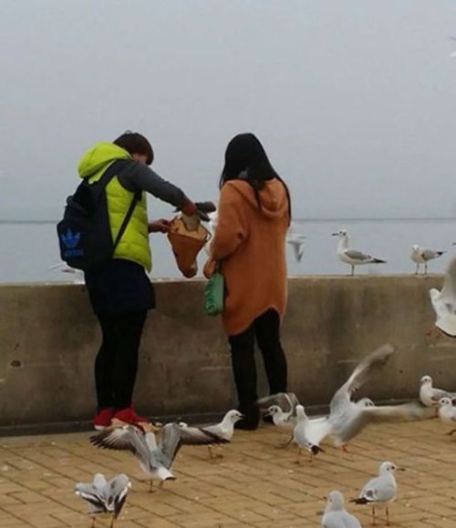 오늘 저녁은 고기반찬