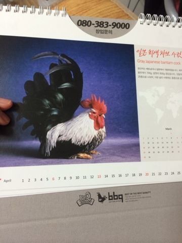 네네치킨에 이은.jpg