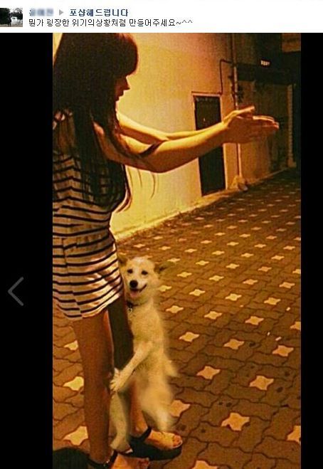 포샵해드립니다 최신.jpg