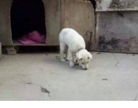 카메라 의식견.jpg