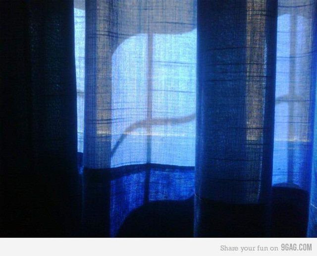 윈도우 로고의 시초