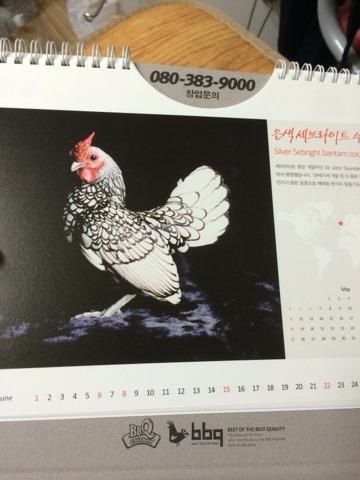 네네치킨에 이은.jpg